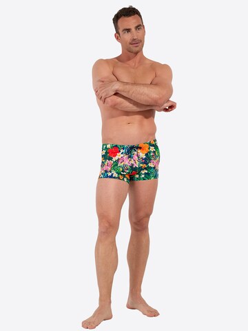 Shorts de bain ' Swim Shorts Peacock ' HOM en mélange de couleurs