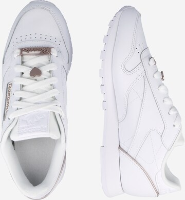 Reebok Sneaker 'Cl Lthr' in Weiß