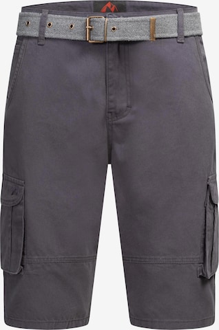 Pantalon cargo Arctic Seven en gris : devant