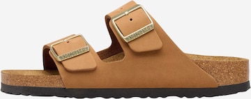 Mule 'Ciabatta Arizona' BIRKENSTOCK en marron : devant