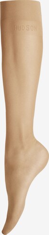 Gambaletto di Hudson in bronzo: frontale