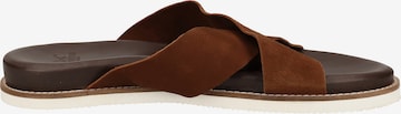 SANSIBAR Mules in Brown