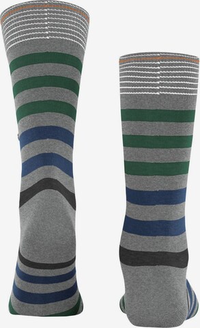 BURLINGTON Socks in Grey