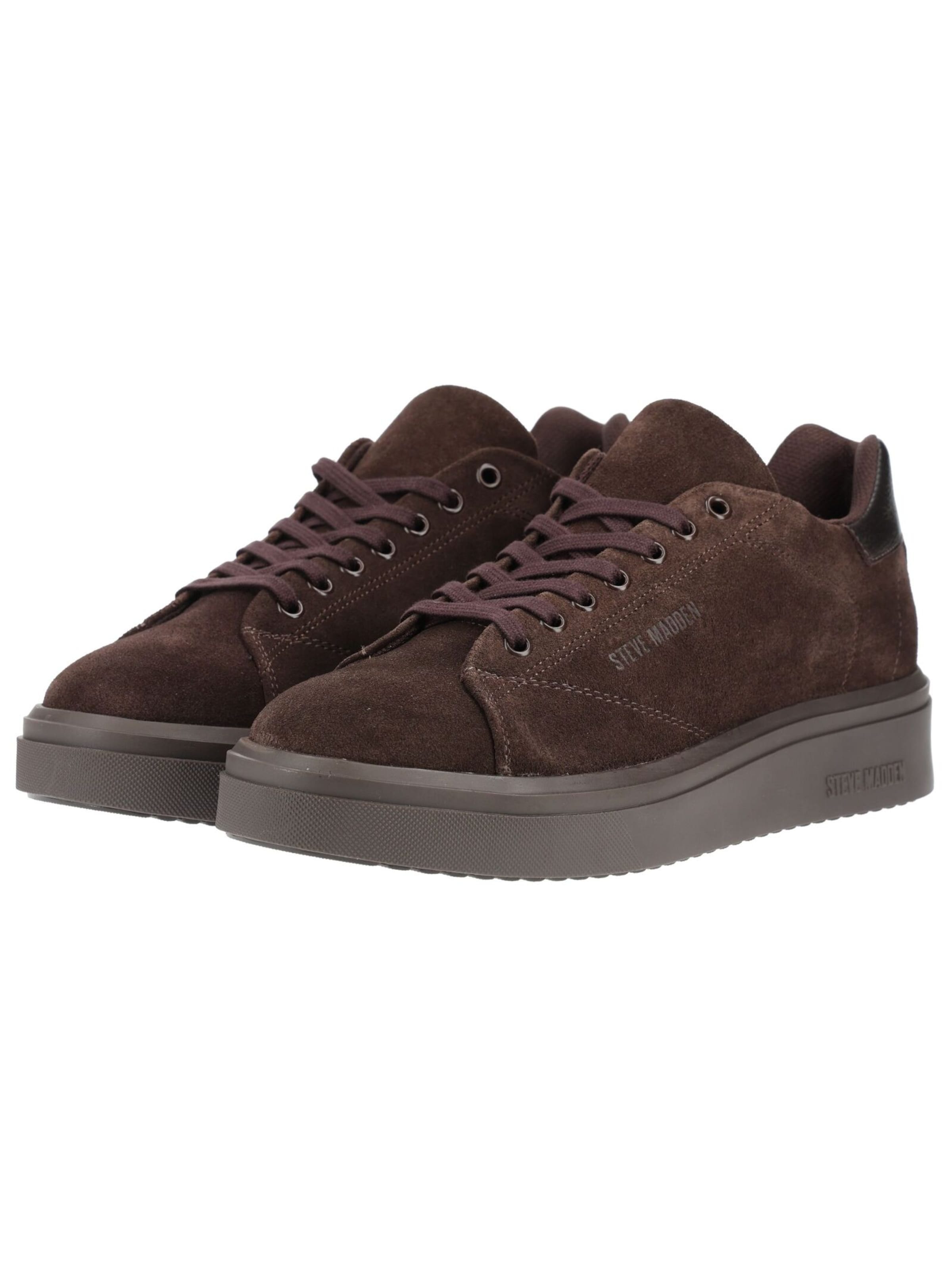 STEVE MADDEN Platform trainers in Brown