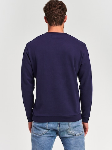 Sweat-shirt Shiwi en bleu