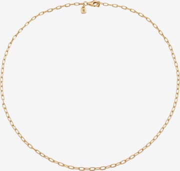 Stilnest Necklace in Gold: front