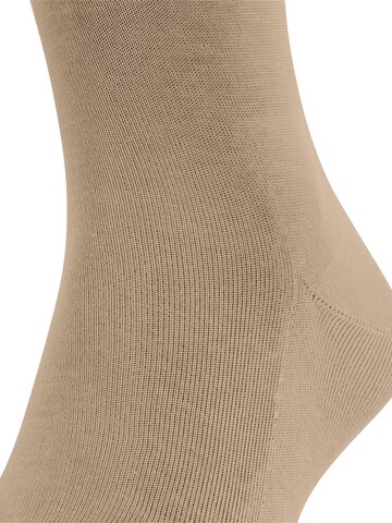 FALKE Knee High Socks 'Tiago' in Brown