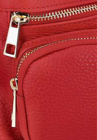 Geantă de umăr de la faina pe roșu