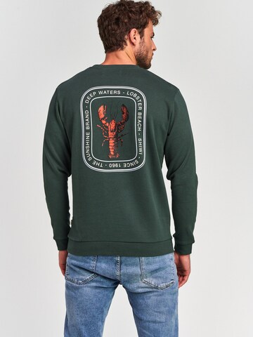 Sweat-shirt Shiwi en vert