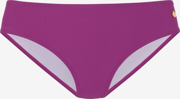 LASCANA Bikini Bottoms in Purple: front