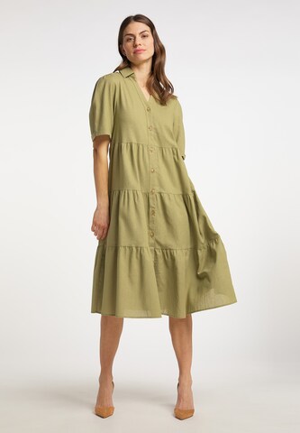 Usha Shirt Dress in Green: front