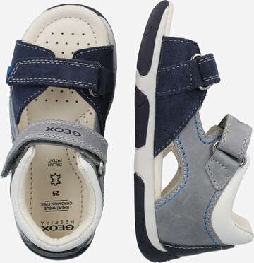 GEOX Sandals & Slippers 'TAPUZ' in Blue