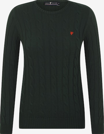 Pullover 'Luisa' di DENIM CULTURE in verde: frontale