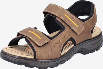 Rieker Hiking Sandals in Brown: front