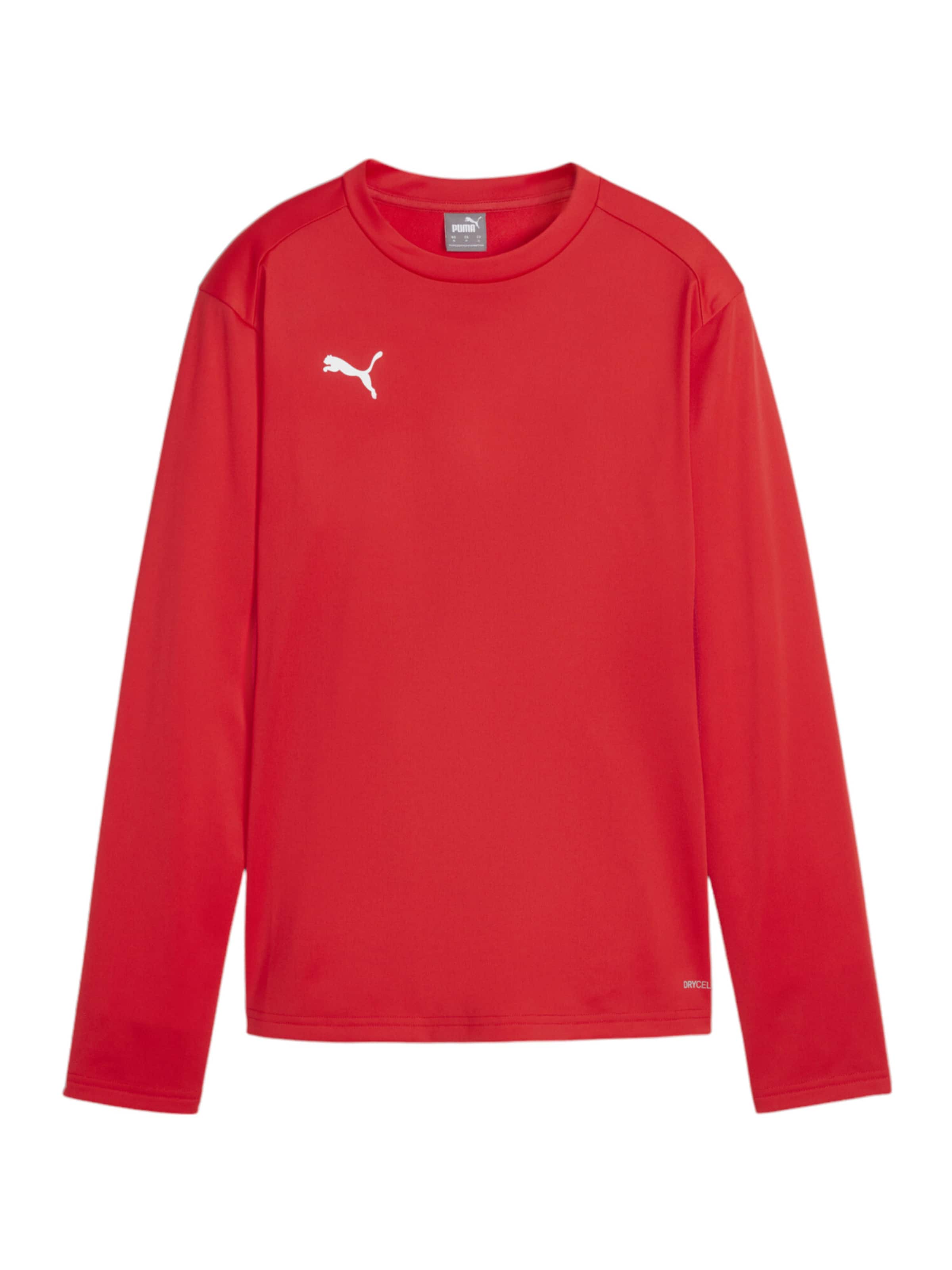 PUMA Sportsweatshirt 'TeamGoal' in Rot: Vorderseite