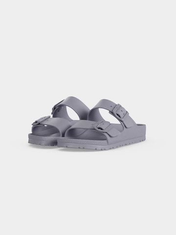 BIRKENSTOCK Pantofle 'Arizona' – fialová