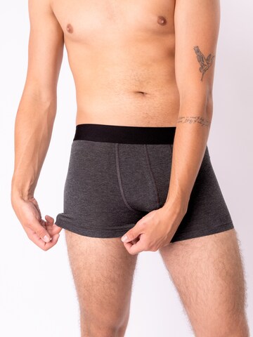 Occulto Boxer shorts 'Bambus Bryan' in Grey: front