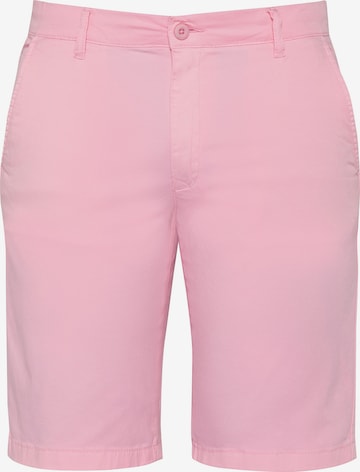 Schott NYC Pants in Pink: front
