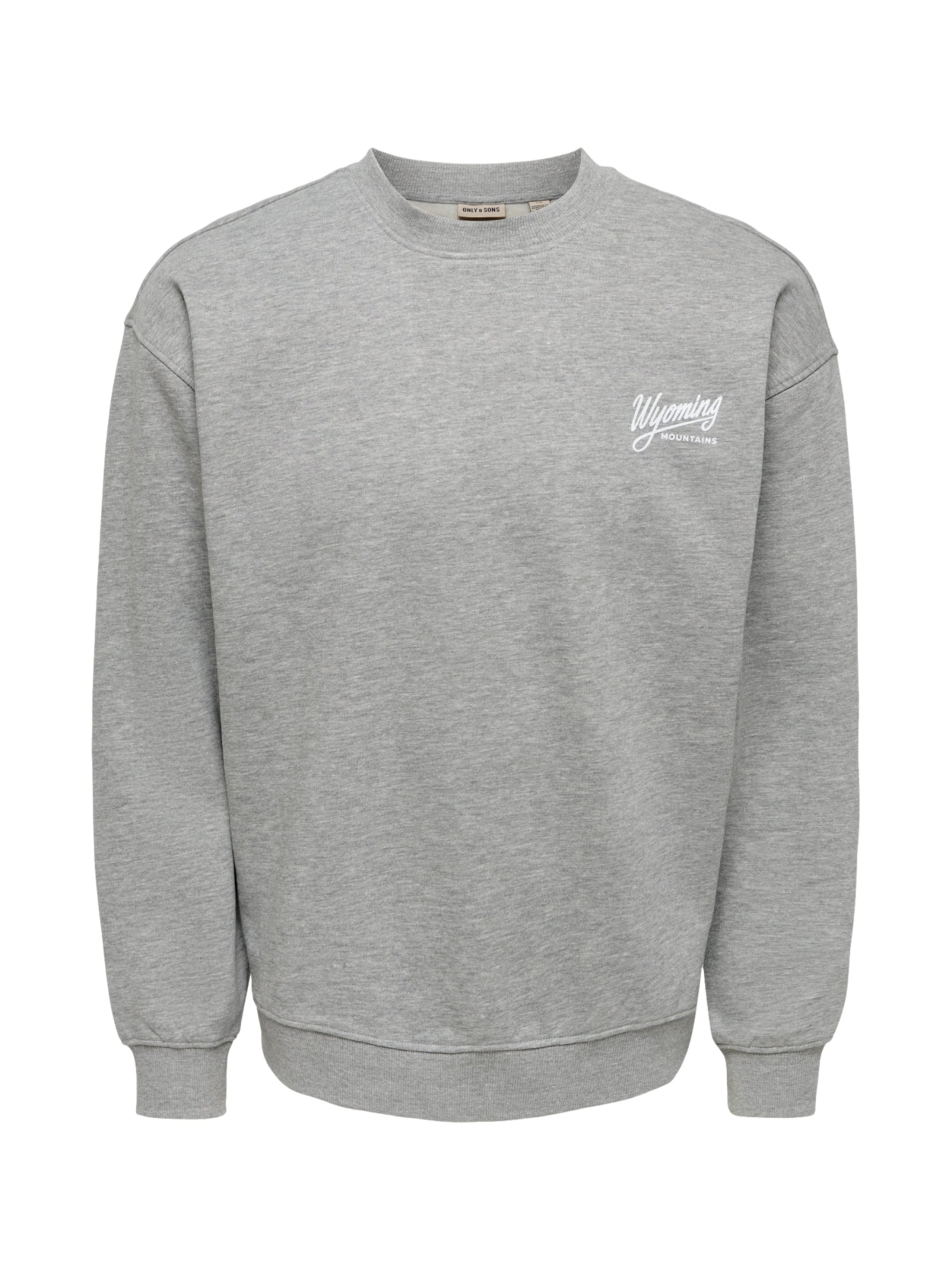 Only & Sons Sweatshirt 'ONSBejmo Morits' in Grijs: voorkant