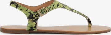 Kazar T-bar sandals in Green