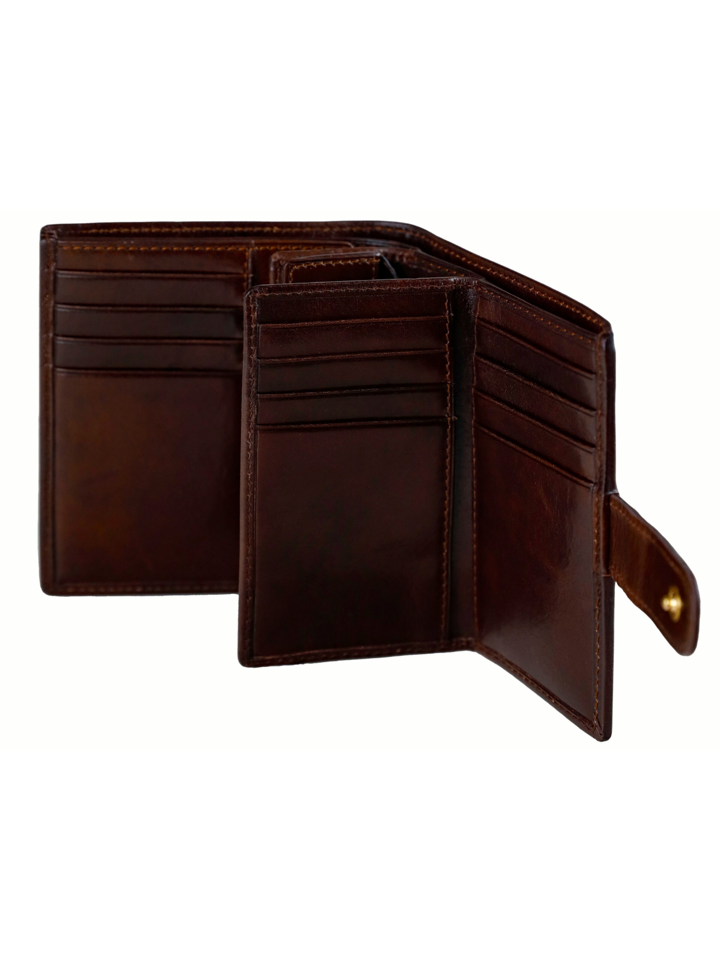 Time Resistance Wallet 'Ironweed' in Brown