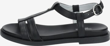 Nero Giardini Strap Sandals in Black