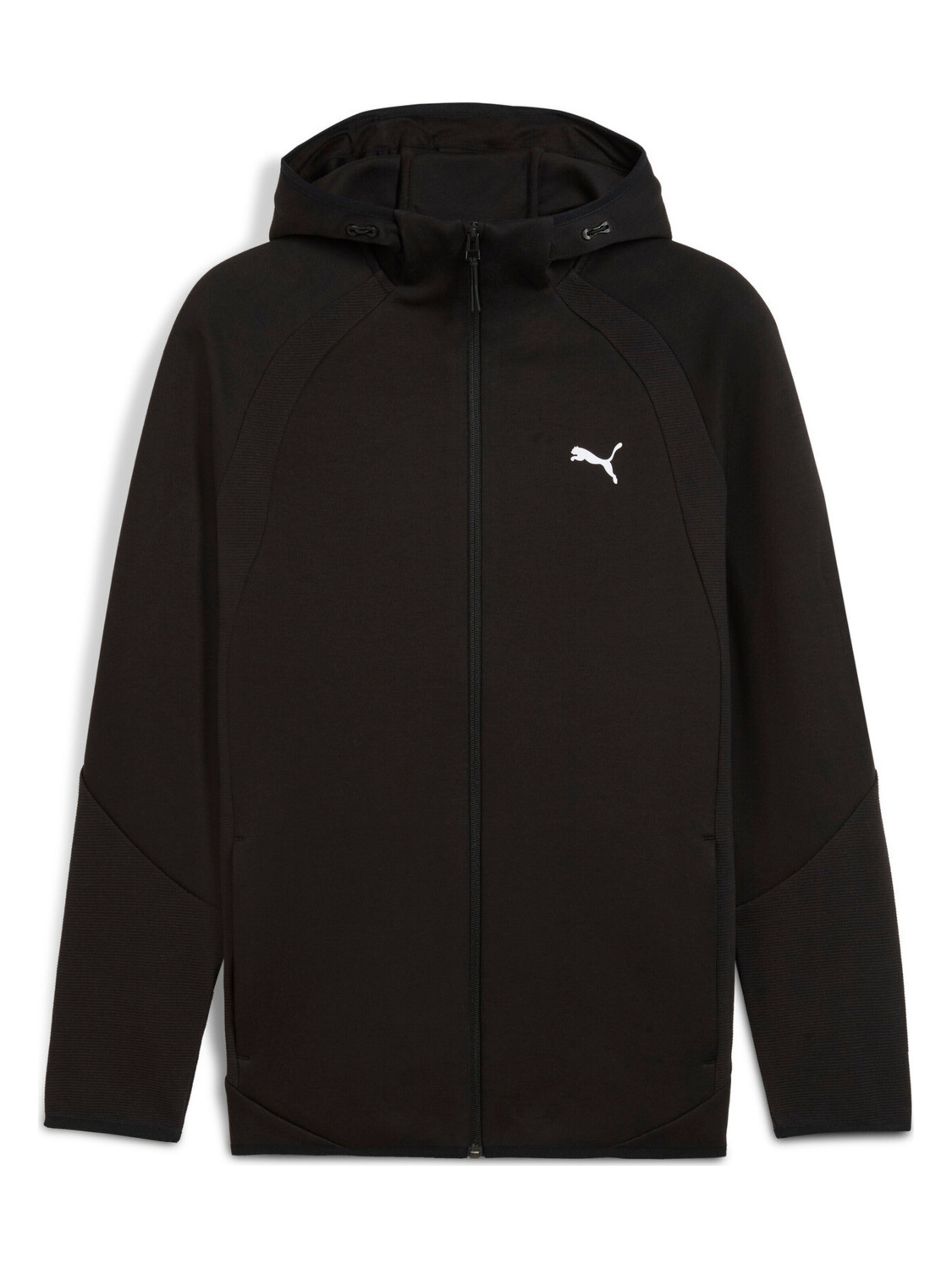 Giacca di felpa 'Puma Evostripe Fz Hoodie Dk' di PUMA in nero: frontale