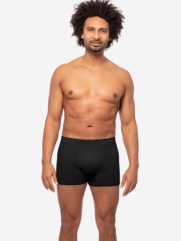 Almonu Boxershorts 'Cotton - Melange' in Grijs