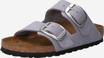 BIRKENSTOCK Plätu 'Arizona Big Buckle', värv lilla: eest vaates