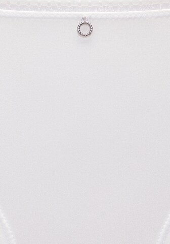 s.Oliver Panty in Beige