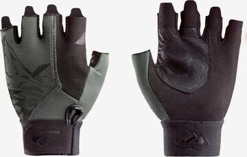 Zanier Gloves 'Kinigat' in Black: front