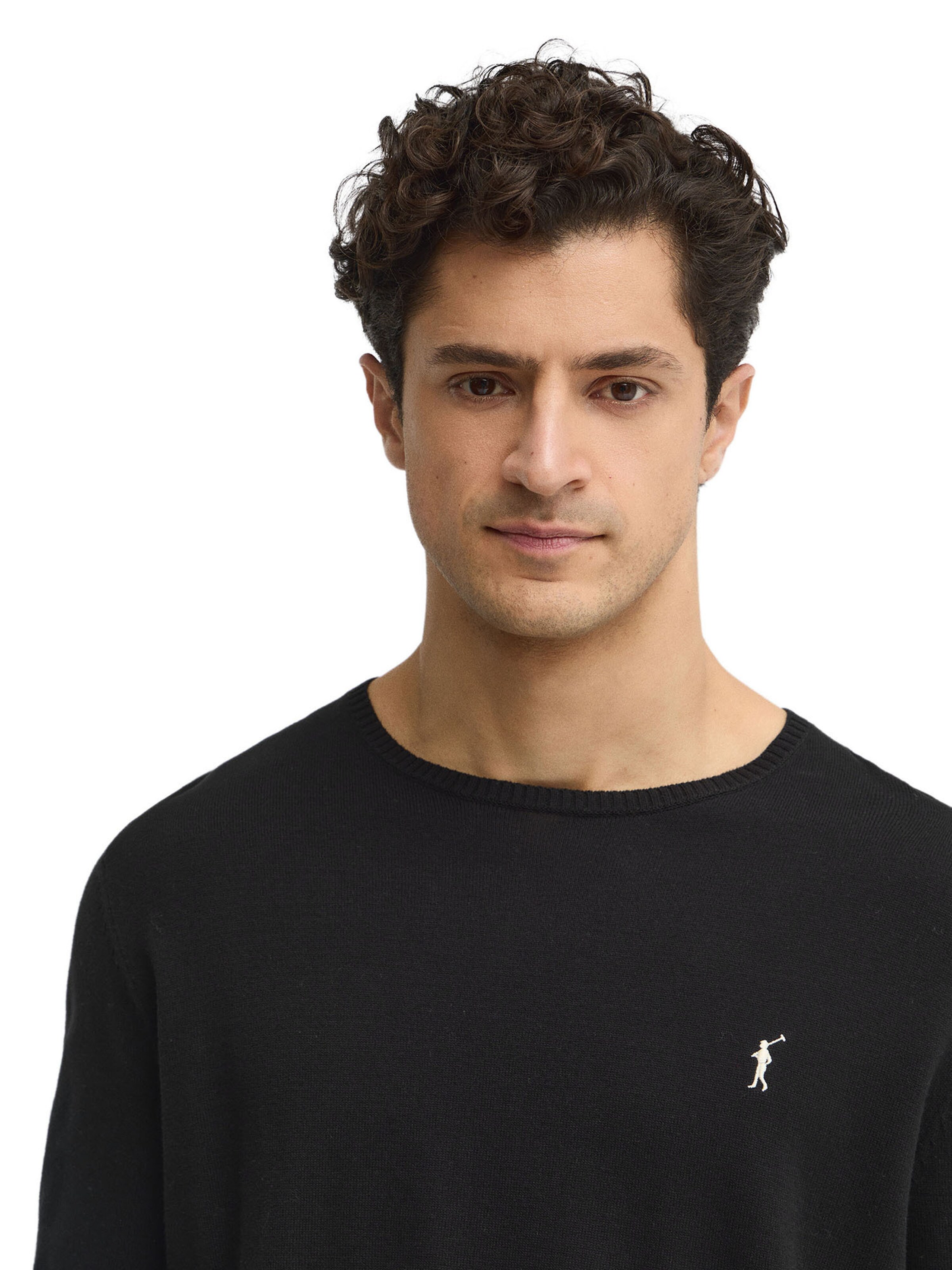 Polo Club Pullover 'Rigby' in Schwarz