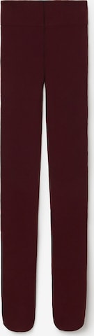 CALZEDONIA Strumpfhose in Rot: Vorderseite