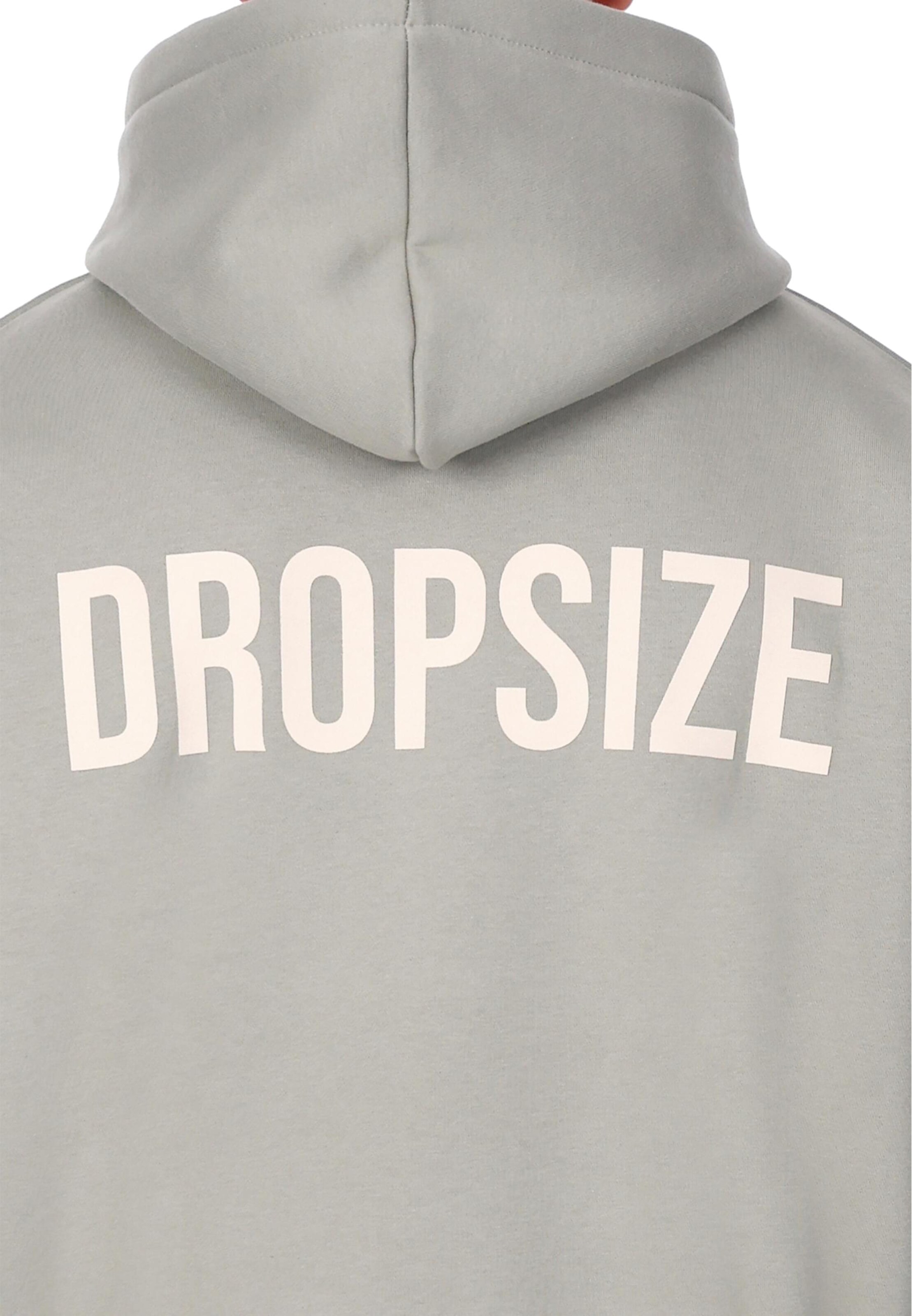Dropsize Sweatshirt in Grey