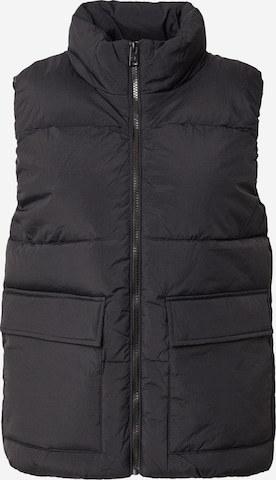 Gilet Champion Authentic Athletic Apparel en noir : devant