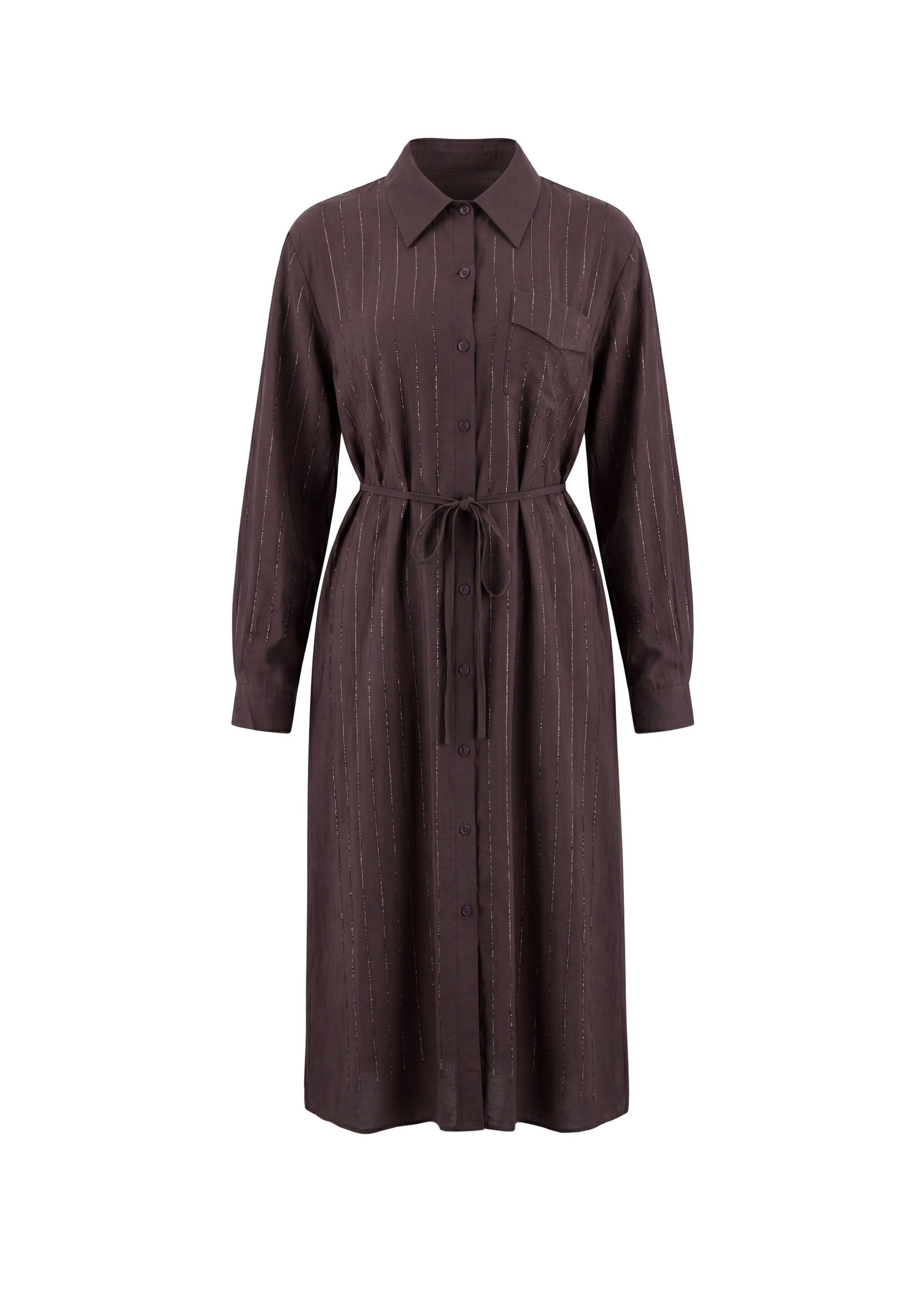 faina Robe en 40 en marron, Vue avec produit