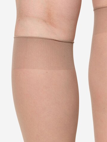 Nur Die - Calcetines ' Strümpfe & Söckchen 20 DEN ' en beige