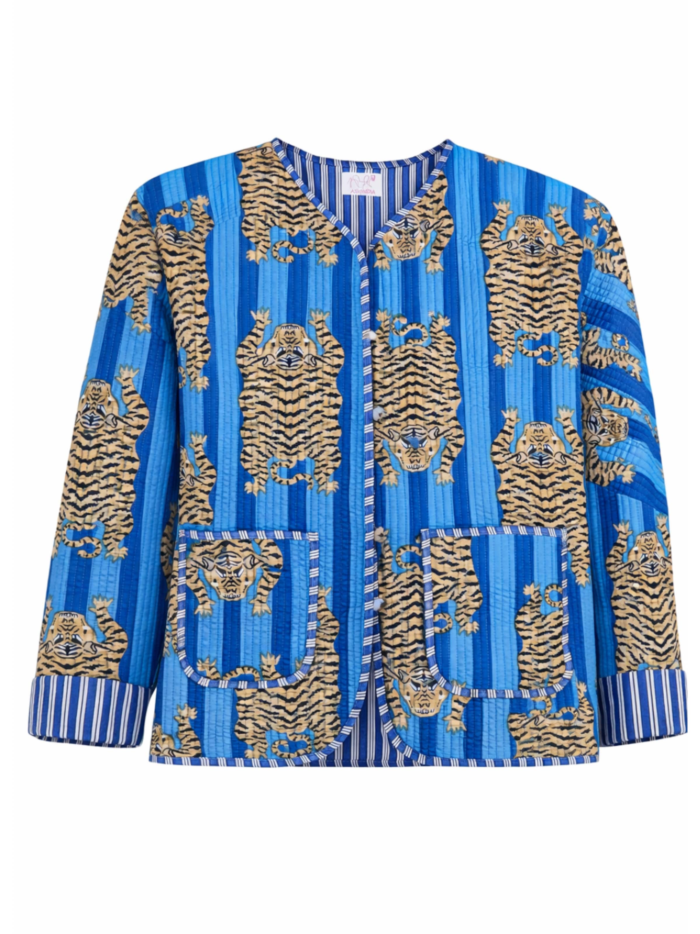 ASHINDIA Between-Season Jacket in Mixed colors: front