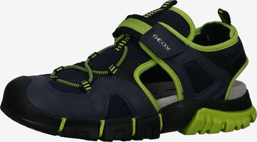 Chaussures ouvertes GEOX en bleu : devant