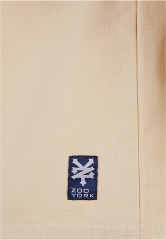 ZOO YORK Between-season jacket 'Zoo York' in Beige