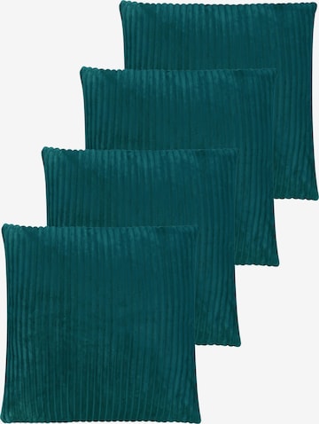 Coussins Aspero en bleu : devant