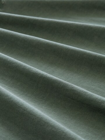 TOM TAILOR Men + Shirt in Groen