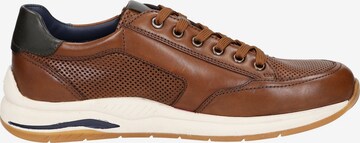 SIOUX Sneakers ' Turibio-710-J ' in Brown