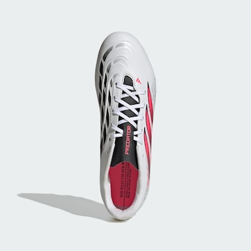 Chaussure de foot 'Predator Club' ADIDAS PERFORMANCE en blanc