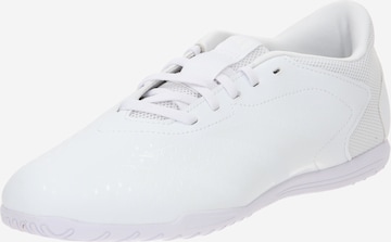 Chaussure de foot 'Predator Accuracy.4 Indoor Sala' ADIDAS PERFORMANCE en blanc : devant