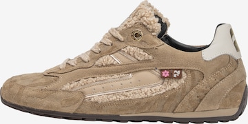 Baskets basses 'Illvi 01' Floris van Bommel en beige : devant