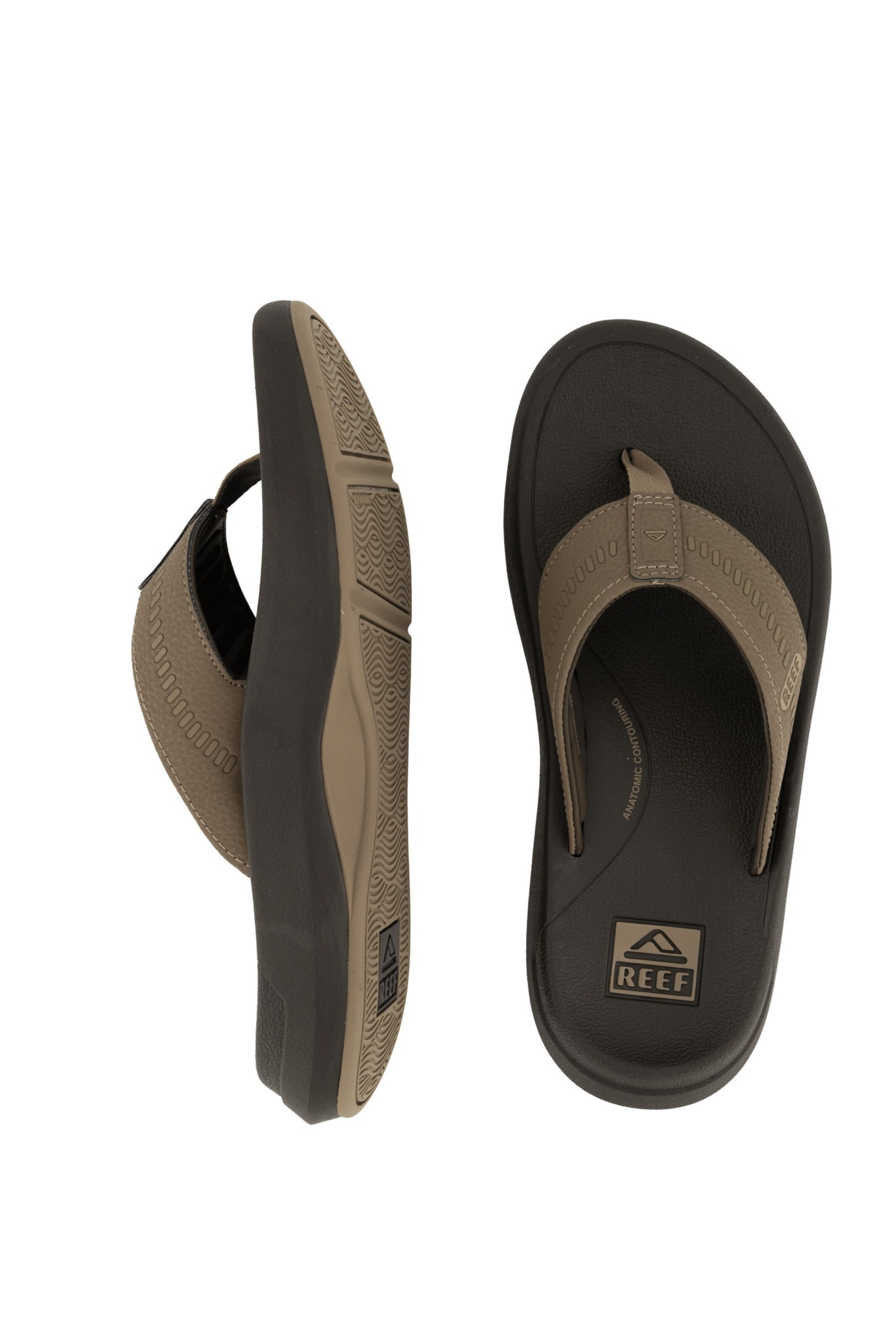 REEF Beach & swim shoe in Green