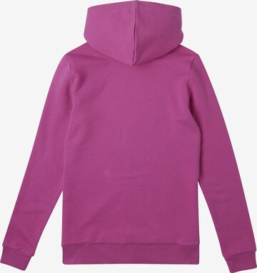 Sweat-shirt 'Cube' O'NEILL en violet