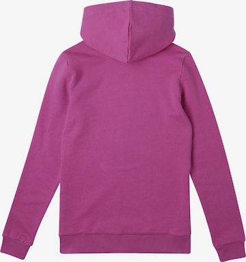 O'NEILL Sweatshirt 'Cube' in Purple