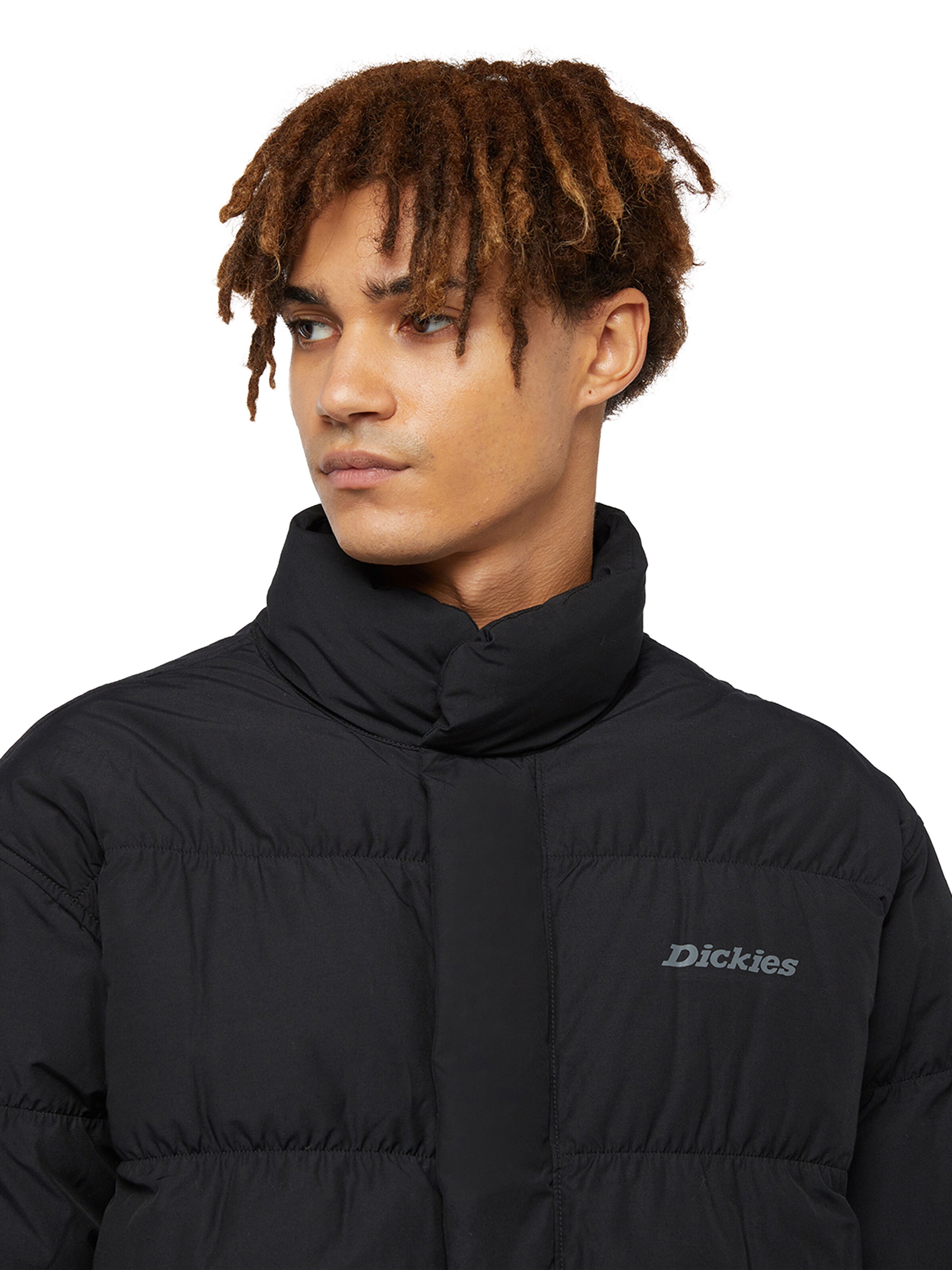 Geacă de iarnă de la DICKIES pe negru